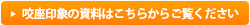 咬座印象の資料はこちらからご覧ください（PDF）